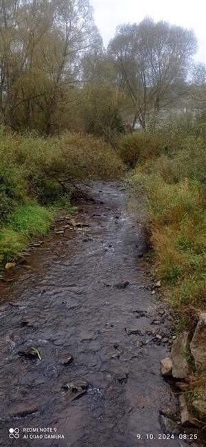 TML_LutrLutr_066 Torysa_Pod Spišskou