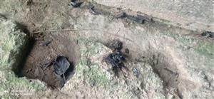 trus vydry riečnej pod mostom na TML_LutrLutr_066