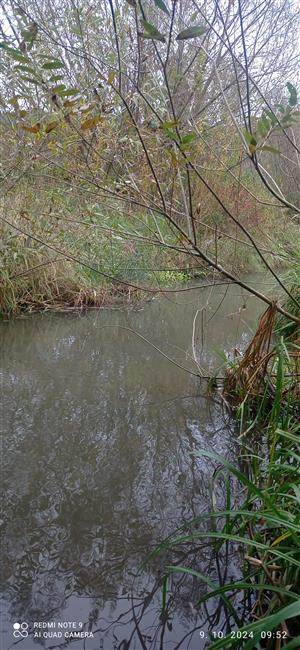 TML_LutrLutr_067_Lodina_Domaňovce