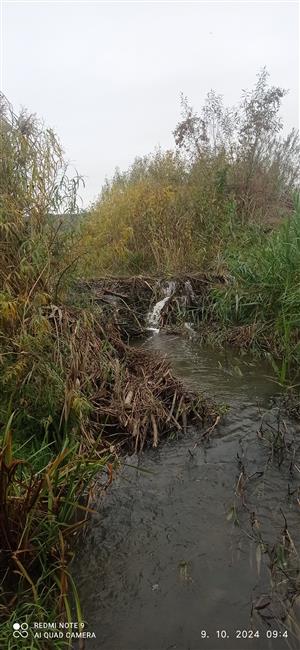 bobria hať 3 m dĺžka x 1,5 m výška na sledovanej TML