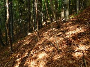 plocha 4x5m