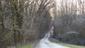 sova lesná (obyčajná) (26.2.2025)