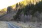 sova lesná (obyčajná) (6.3.2025)