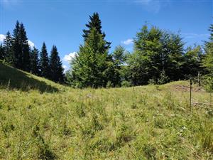plocha 4x5m