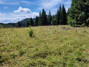 plocha 4x5m