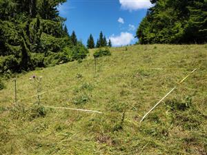 plocha 4x5m