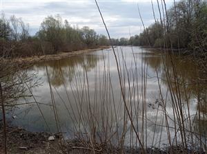 pohľad na lokalitu - málo vody
