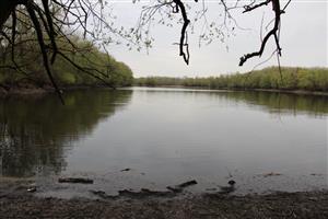 Pohľad na časť TML Vodný mlyn Kolárovo, bývalé mater. jamy. Foto: 2.4.2025, J.Lengyel.