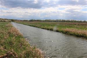 Pohľad na jv močiarne časti, TML Žitavský luh. Ilustračné foto: 8.4.2025, J.Lengyel.