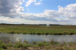 Pohľad na východnú časť TML Žitavský luh, ilustračné foto: 8.4.2025, J.Lengyel.