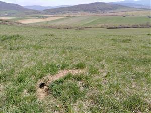 pobytové znaky - aktívne nory