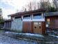 Večernica hvízdavá (malá) (31.1.2025)