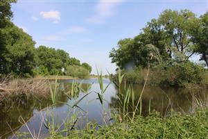 Pohľad na severnú časť TML Tvrdošovce, VN Tvrdošovce, foto: 14.5.2025, J.Lengyel.