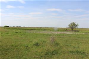 Pohľad na J časť TML Panské lúky, jedno zo slanisk. jazierok po ústupe vody. Foto: J.Lengyel, 14.5.2025.