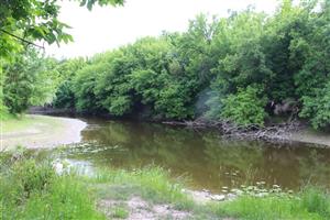 Pohľad na časť TML Apálsky ostrov, rameno Nitry, foto: 21.5.2025, J.Lengyel.