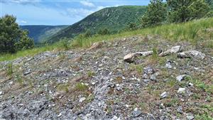 Záber na monitorovaný biotop. 