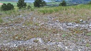 Záber na monitorovaný biotop. 