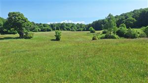 Záber na monitorovaný biotop. 