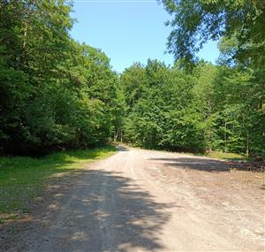 presvetlená asfaltová plocha so slabými okrajovými bylinnými porastami v druhej polovici TML