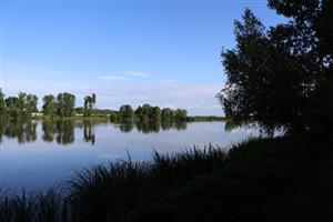 TML Boheľovské rybníky, sever. rybník. Foto: 3.6.2025, J.Lengyel.