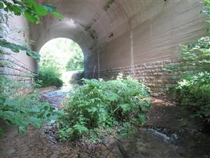 Monitorovaná lokalita 