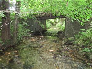 Monitorovaná lokalita - most 1 