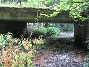 Monitorovaná lokalita - most 3 