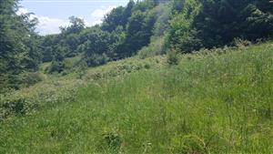 Pohľad na lokalitu - severná časť