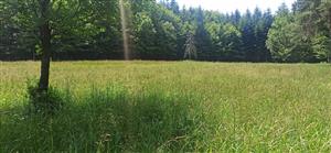 Pohľad na časť TML.