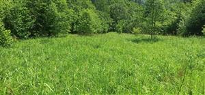 Pohľad na časť TML.