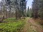 Mlynárka dlhochvostá (25.5.2025)