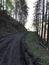 Mlynárka dlhochvostá (8.5.2025)