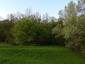 Lastovička domová (23.4.2025)