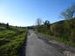 Orešnica perlavá (28.4.2025)