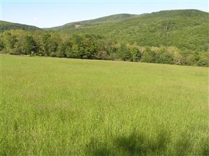 Pohľad na plochu TML