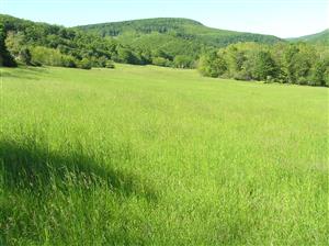 Pohľad na plochu TML