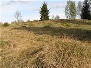 Pohľad na TML, celkový