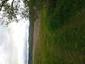 Muchárik čiernohlavý (28.5.2025)