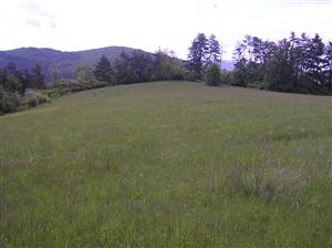 Pohľad na TML, celkový