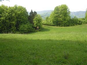 Pohľad na TML, celkový