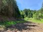 Ďateľ prostredný (15.6.2025)