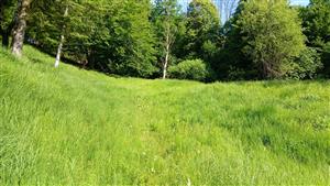 Pohľad na TML - smerom hore svahom