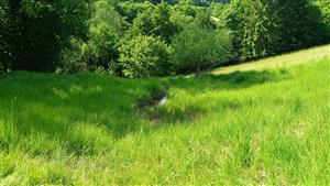 Pohľad na TML smerom dole svahom