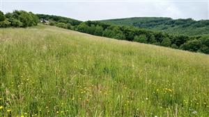 Pohľad na TML smerom hore svahom