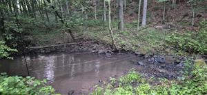 Nainštalovaná odchytová sieť