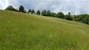 Pohľad na TML - horná časť