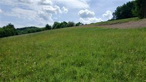 Pohľad na TML - dolná časť