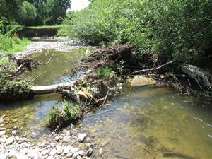 Zachytený komunálny odpad v toku 
