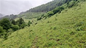 Pohľad na TML južným smerom