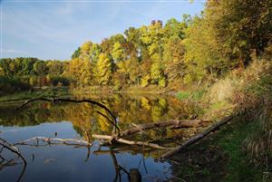 Meander